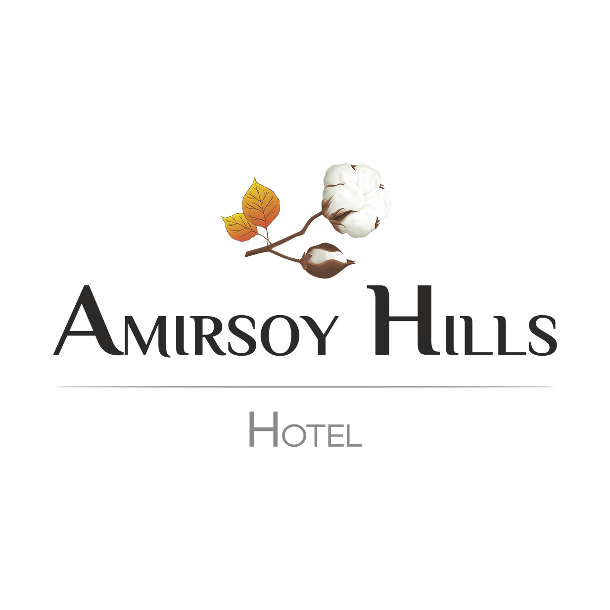 Amirsoy Hills логотип